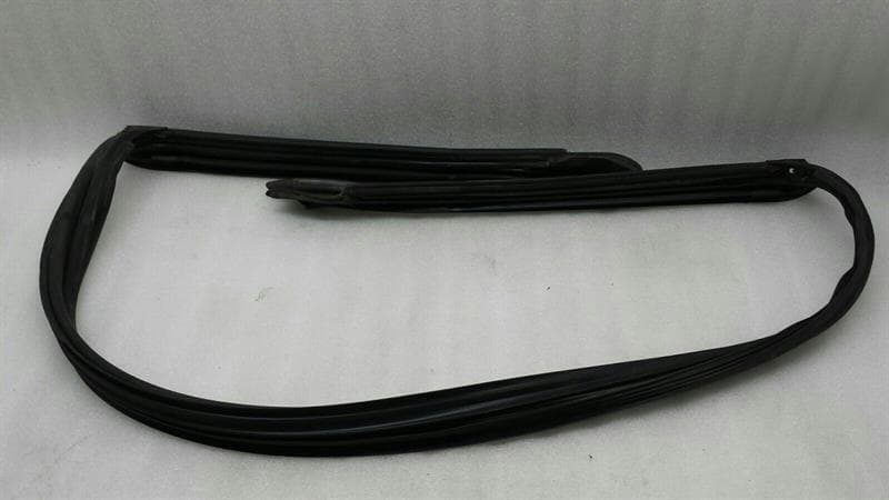 BMW BMW Z4 E85 E86 Sealing Windshield A-Pillar 51717023969 Windshield Sealing