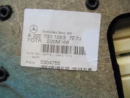 MERCEDES-BENZ Mercedes S Class W220 LWB door card RRH A2207301063 door panel rear right — thumbnail 9
