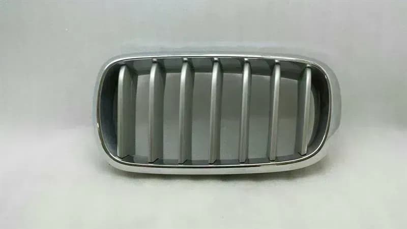BMW BMW X5 F15 concentration grid front left 7303107 left front grill