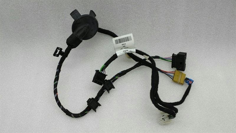 MERCEDES-BENZ Mercedes S-Class W221 RRH Door Wiring A2214408010 Door Wiring Harness Rear Right