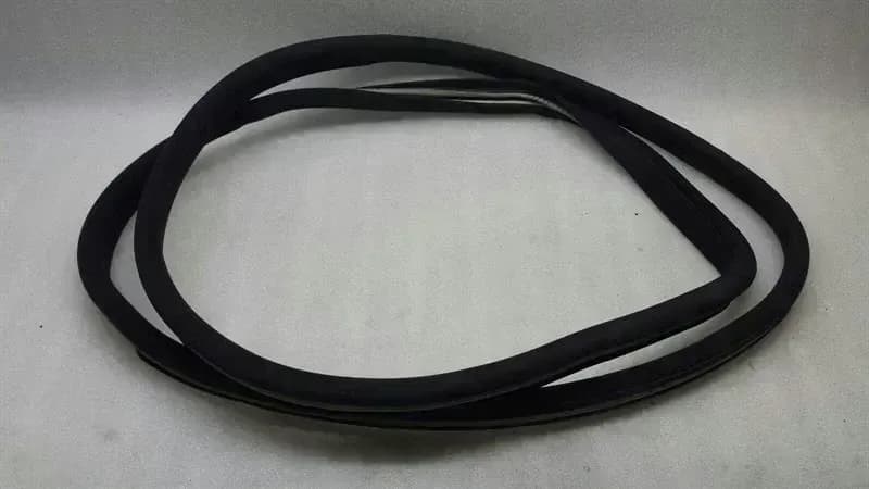 Mercedes S Class W220 door seal front right A2206970651 entry strip VR