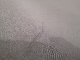BMW 2005 BMW 6 Series E63 Roof Lining 7899009 Headliner PreFacelift — thumbnail 7