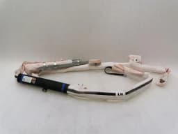 TESLA Tesla Model S 90D Left Roof Module 1005261-00-D Module Left — thumbnail 1