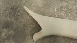 JAGUAR Jaguar XJ X350 X358 A Post Right Cover C2C4986SEL A Pillar Cover Right — thumbnail 8