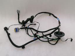TESLA Tesla Model S 70 Rear Right Door Wiring 1004426-00-P Rear Right Door Harness — thumbnail 1