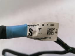 TESLA Tesla Model S 70 Rear Left Door Wiring 1004425-00P Rear Left Door Harness — thumbnail 10