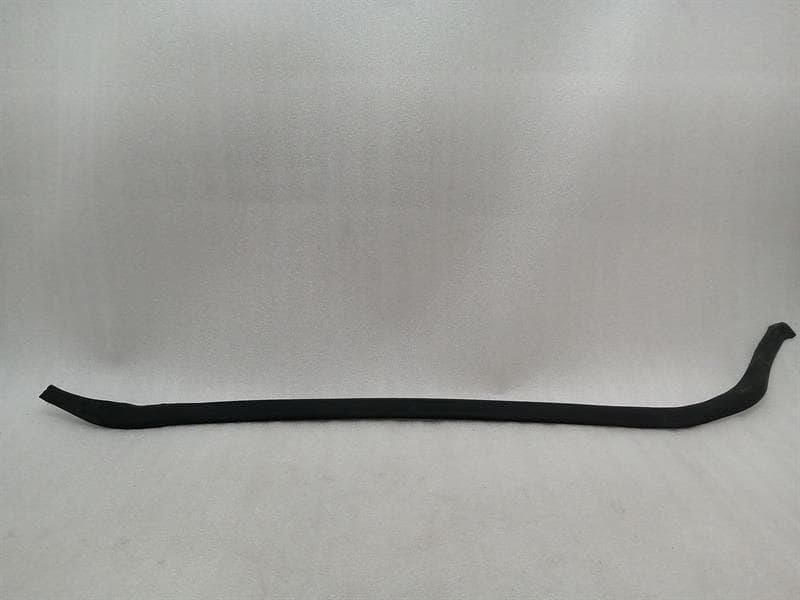 TESLA Tesla Model S 70 RLH Door Seal 6009587-00-D Door Seals Rear Left