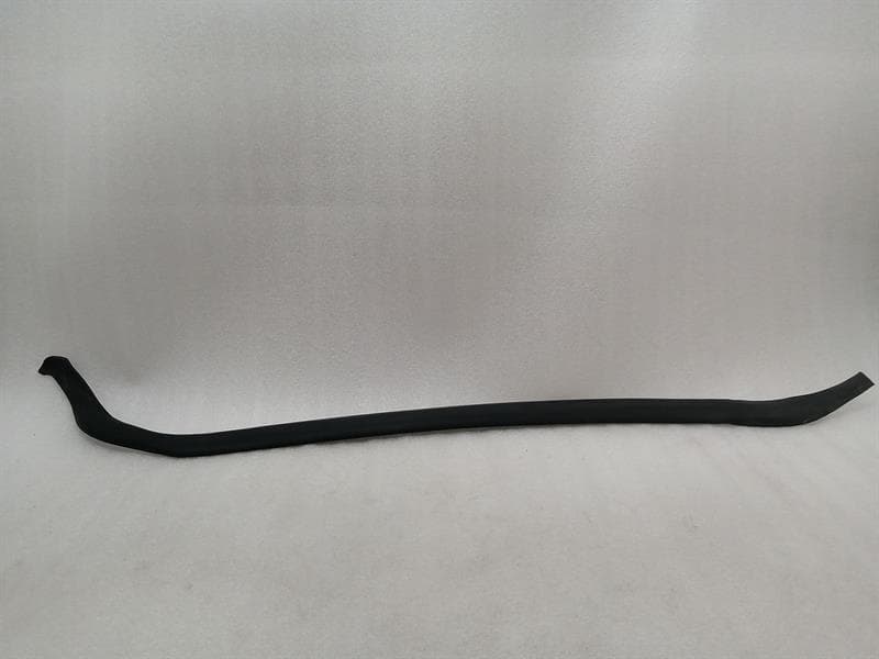 TESLA Tesla Model S 70 RRH Secondary Door Seal 6009588-00-D Door Seals Rear Right