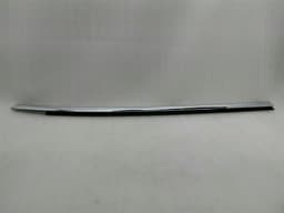 TESLA Tesla Model S 70 FLH Door Moulding 1038393-00-A Front Left Door Strip — thumbnail 1