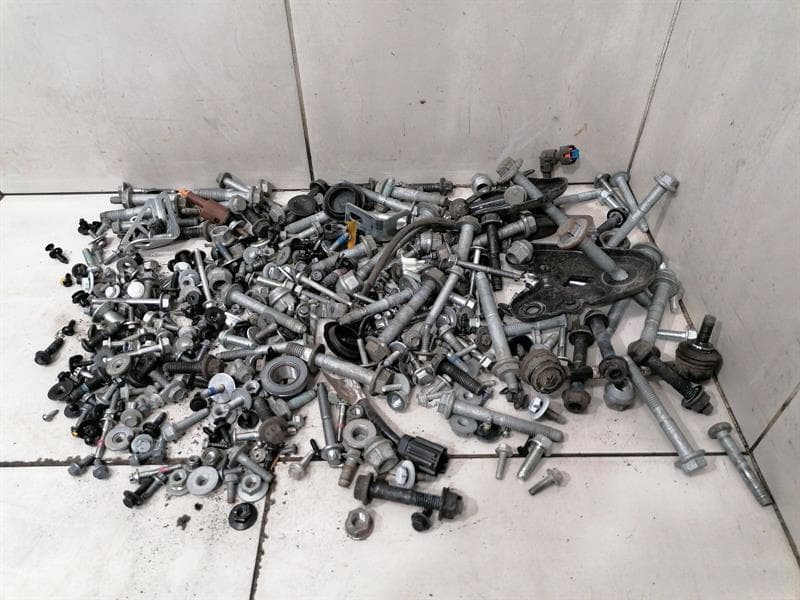 TESLA TESLA MODEL 3 STANDARD RANGE SCREENS BOLTS FROM ONE CAR SET SCREWS