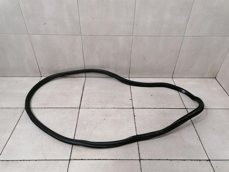 BMW BMW iX i20 40 door seal rear left 8491451 door gaskets rear left