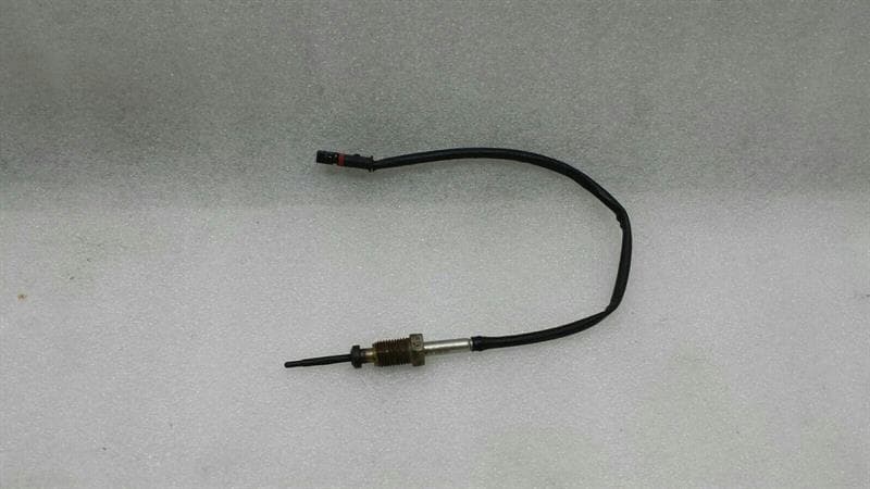 BMW BMW 1 Series F21 F20 Abgastemperatu
