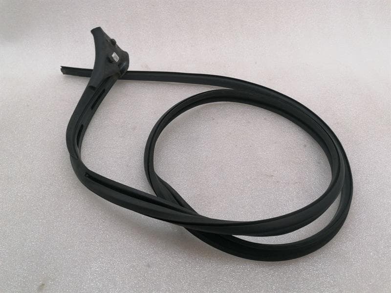 PORSCHE Porsche Taycan 9J Door Seal 9J0853912A Door Seals RH