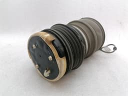 PORSCHE PORSCHE TAYCAN 9J AIR SPRING 9J1616026C AIR SPRING RIGHT — thumbnail 8