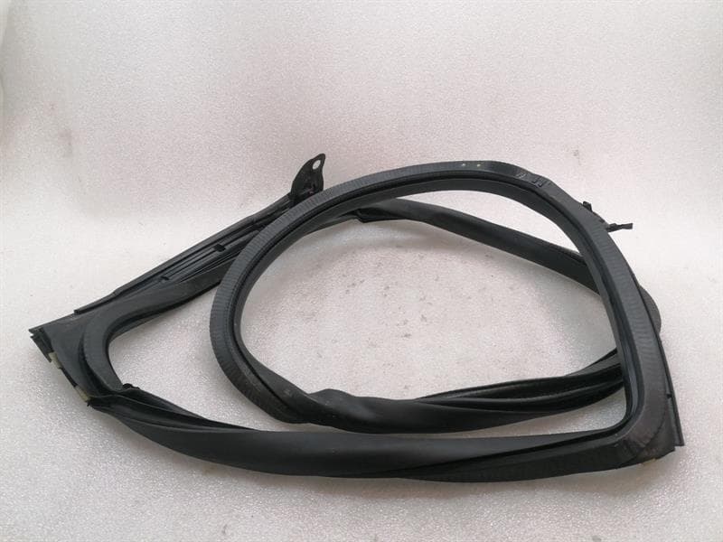 PORSCHE Porsche Taycan 9J Door Seal 9J0833721 Door Seals REAR LEFT