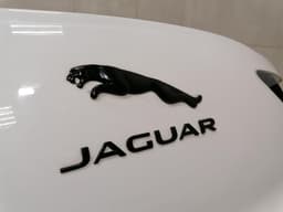 JAGUAR JAGUAR i-PACE X590 EV400 Boat Lid T4K15947LML Tailgate TAILGATE 2022 — thumbnail 4