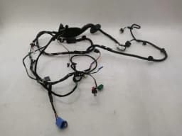 TESLA Tesla Model 3 Driver Door Wiring 3067963-02-C Driver Door Wiring Harness — thumbnail 1