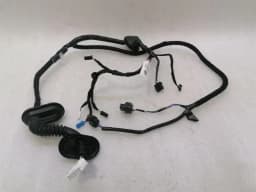 TESLA Tesla Model 3 Standard Range RLH Door Wiring 2067965-00-B Rear L Door Harness — thumbnail 1