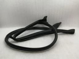 TESLA Tesla Model 3 Rear Right Door Seal 1090510-00-N Rear Right Door Seals — thumbnail 1