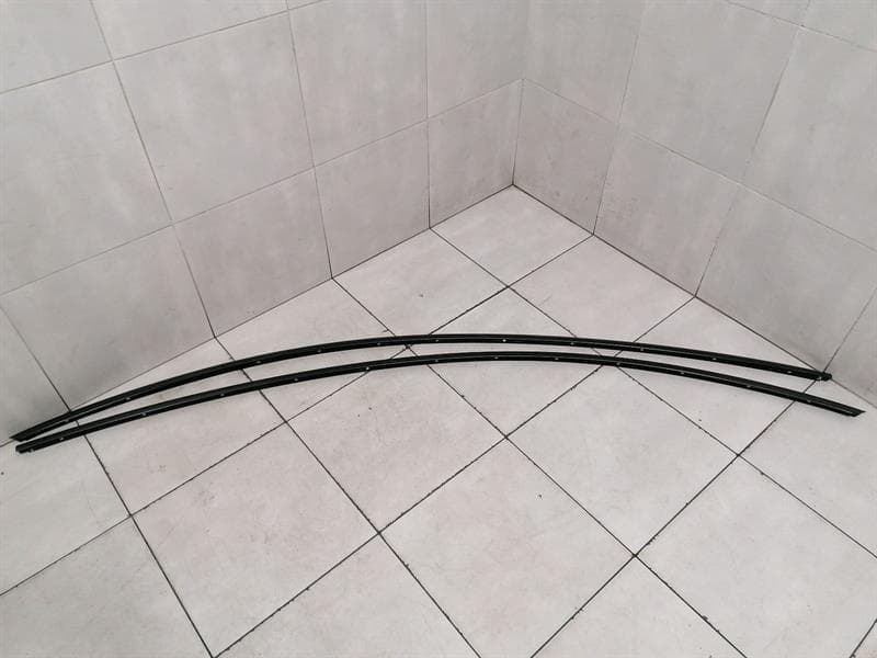 TESLA Tesla Model 3 STANDARD RANGE Roof Rails Set 1083519-01-D Roof Rail Set
