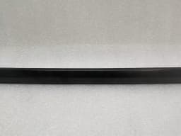 TESLA TESLA MODEL 3 STANDARD RANGE Door Seal 1090504-00-F Door Seals REAR RIGHT — thumbnail 3