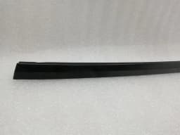 TESLA TESLA MODEL 3 STANDARD RANGE Door Seal 1090504-00-F Door Seals REAR RIGHT — thumbnail 4