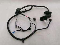 TESLA TESLA MODEL 3 STANDARD RANGE RRH Door Wiring Loom 2067966-00-B Tur Hi Harness — thumbnail 1