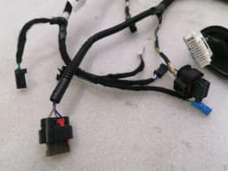 TESLA TESLA MODEL 3 STANDARD RANGE RRH Door Wiring Loom 2067966-00-B Tur Hi Harness — thumbnail 3