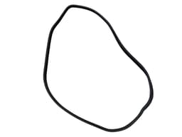 LAND ROVER GENUINE Land Rover Range Rover Sport L320 FRONT DOOR RUBBER WEATHERSTRIP SEAL — thumbnail 1
