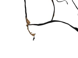LAND ROVER GENUINE Land Rover Range Rover Sport L320 Roof Wiring LR016002 AH3214334BC — thumbnail 3