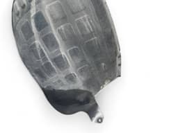 KIA 86812A8000 86816A8000 Fender inner liner Front Right KIA OPTIMA IV (JF) (2015-2020) — thumbnail 9