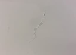 SKODA Door Front Right SKODA RAPID (NH1, NH3) (2012-2019) — thumbnail 3