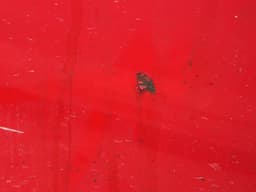 AUDI 8T8831052C Door Front Right AUDI A5 (B8) (2007-2016) — thumbnail 3