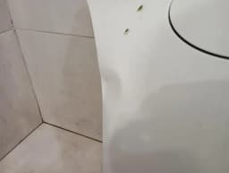 PORSCHE Porsche Cayman 981 GT4 Right Wing 98150303200 Front Right Fender — thumbnail 6