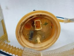 FERRARI Ferrari GTC4 Lusso F151M Fuel Pump Electric 272087 Fuel Pump Kit- — thumbnail 9