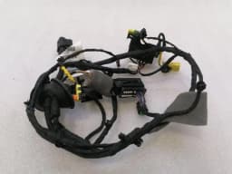 FERRARI Ferrari Roma F169 Wiring Loom 963412 RH DOOR Wiring Harness — thumbnail 7