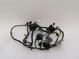 FERRARI Ferrari Roma F169 Wiring Loom 963412 RH DOOR Wiring Harness — thumbnail 1