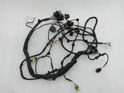 FERRARI Ferrari GTC4 Lusso T 3.9 V8 F151M Wiring Loom 815272 LH DOOR Wiring Harness — thumbnail 3