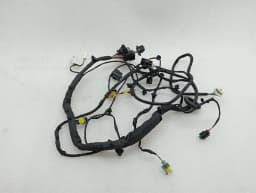 FERRARI Ferrari GTC4 Lusso T 3.9 V8 F151M Wiring Loom 815272 LH DOOR Wiring Harness — thumbnail 2