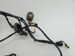 FERRARI Ferrari Roma F169 Wiring Loom 963414 LH DOOR Wiring Harness — thumbnail 6