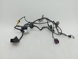FERRARI Ferrari Roma F169 Wiring Loom 963414 LH DOOR Wiring Harness — thumbnail 2