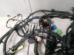 FERRARI Ferrari California T F149 14-17 Wiring Loom 311981 Rear Cable Harness — thumbnail 3
