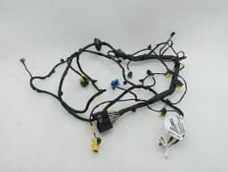 FERRARI Ferrari GTC4 Lusso T 3.9 V8 F151M Wiring Loom 815270 RH DOOR Wiring Harness — thumbnail 1