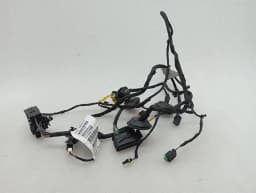 FERRARI Ferrari Roma F169 Wiring Loom 963414 LH DOOR Wiring Harness — thumbnail 7