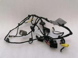 FERRARI Ferrari Roma F169 Wiring Loom 963412 RH DOOR Wiring Harness — thumbnail 4