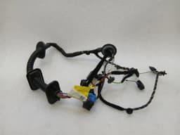 PORSCHE Porsche 911 991 GT3RS Mk1 Wiring Loom 99161260406 Wiring Harness Right Door- — thumbnail 2