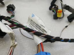 PORSCHE Porsche 911 991 GT3RS Mk1 Wiring Loom 99161260306 Wiring Harness Left Door- — thumbnail 5