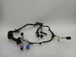 PORSCHE Porsche 911 991 GT3RS Mk1 Wiring Loom 99161260306 Wiring Harness Left Door- — thumbnail 2