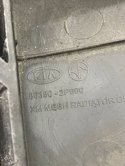 KIA 863502P000 Radiator Grille KIA SORENTO II (XM) (2009-2015) — thumbnail 7
