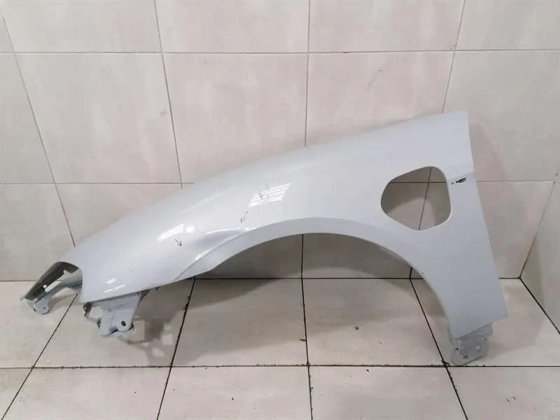 PORSCHE Porsche Taycan 9J Left Wing 9J1821101AY POWER DOOR Fender Left Faulty-